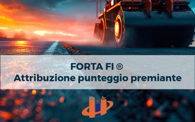 Fibre-FORTA-FI®-come-soluzione-migliorativa-ai-sensi-del-CAM-STRADE